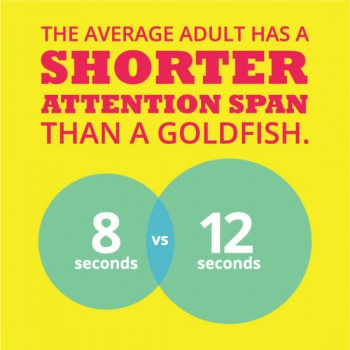 The average adult has a shorter attention span than a goldfish